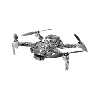 DJI Mini 2 Skins & Wraps