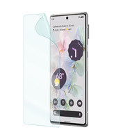 Pixel 6 Pro Screen Guard Protector