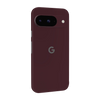 Pixel 9 Skins & Wraps