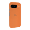Pixel 9 Skins & Wraps
