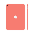 Apple iPad 10.9 inch (10th Gen 2022) Skins & Wraps