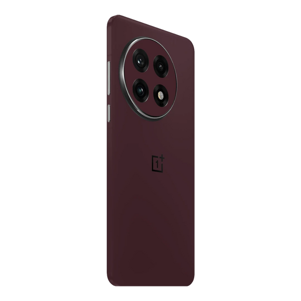 OnePlus 13 Skins & Wraps