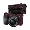 Sony Alpha 6100 Skins & Wraps