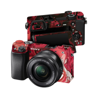 Sony Alpha 6100 Skins & Wraps