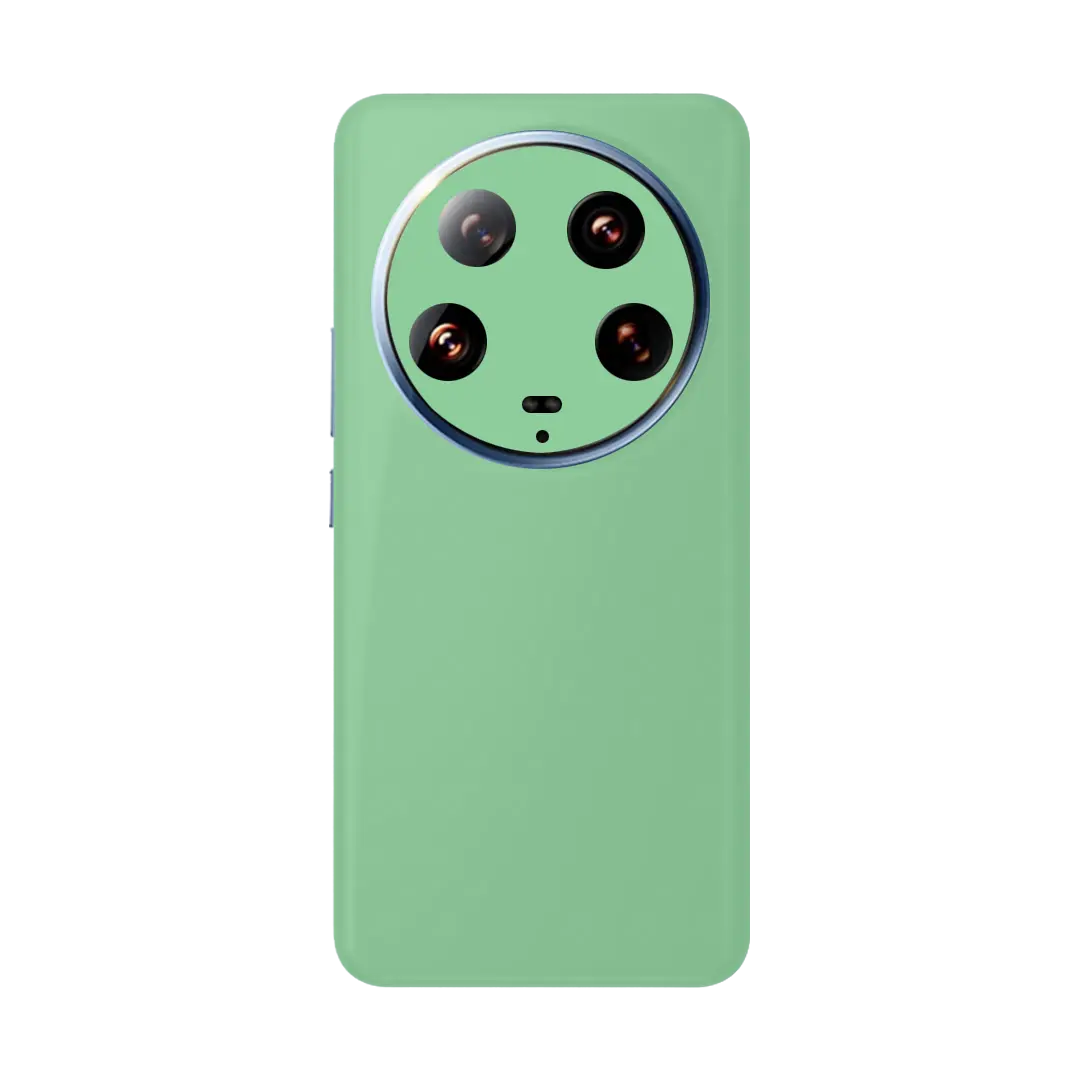Preload Full Back / Pastel Green
